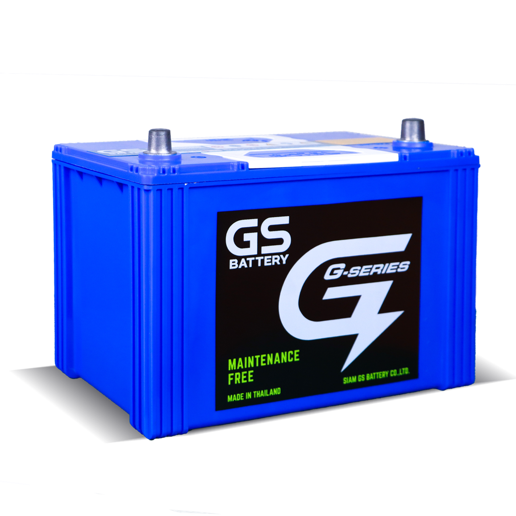 GS G-175L (JIS 80D31)